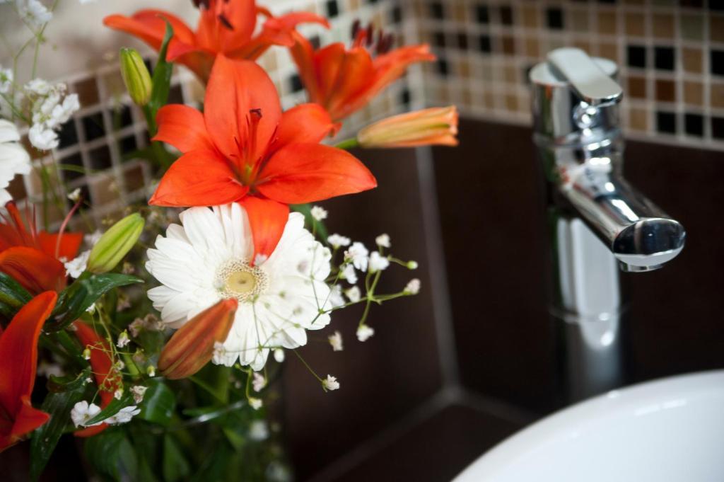 Casa Felicidad B&B Room & Kitchen プレヤデルカーメン 部屋 写真